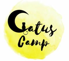 catus_camp_6