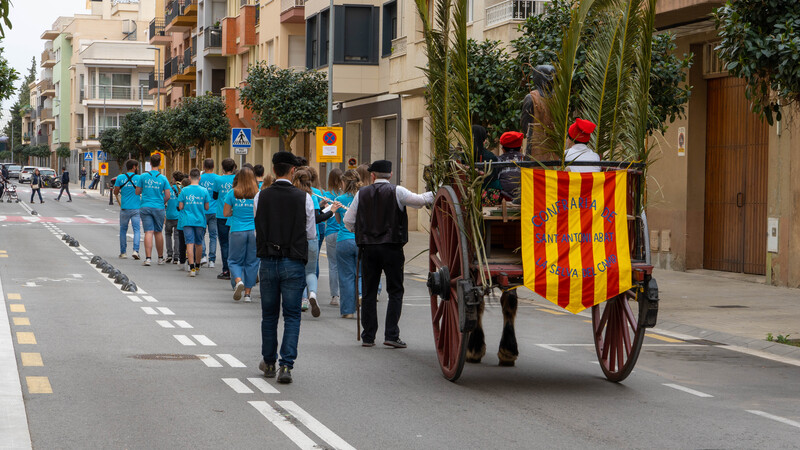 trestombs-laselvadelcamp (2)