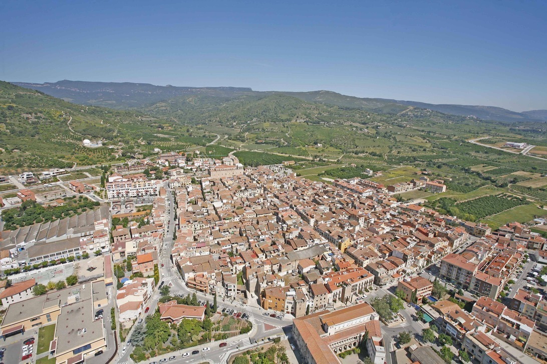 selva-aerea (1) selva-aerea (1)