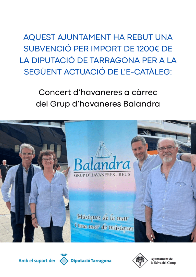 Subvenció eCataleg